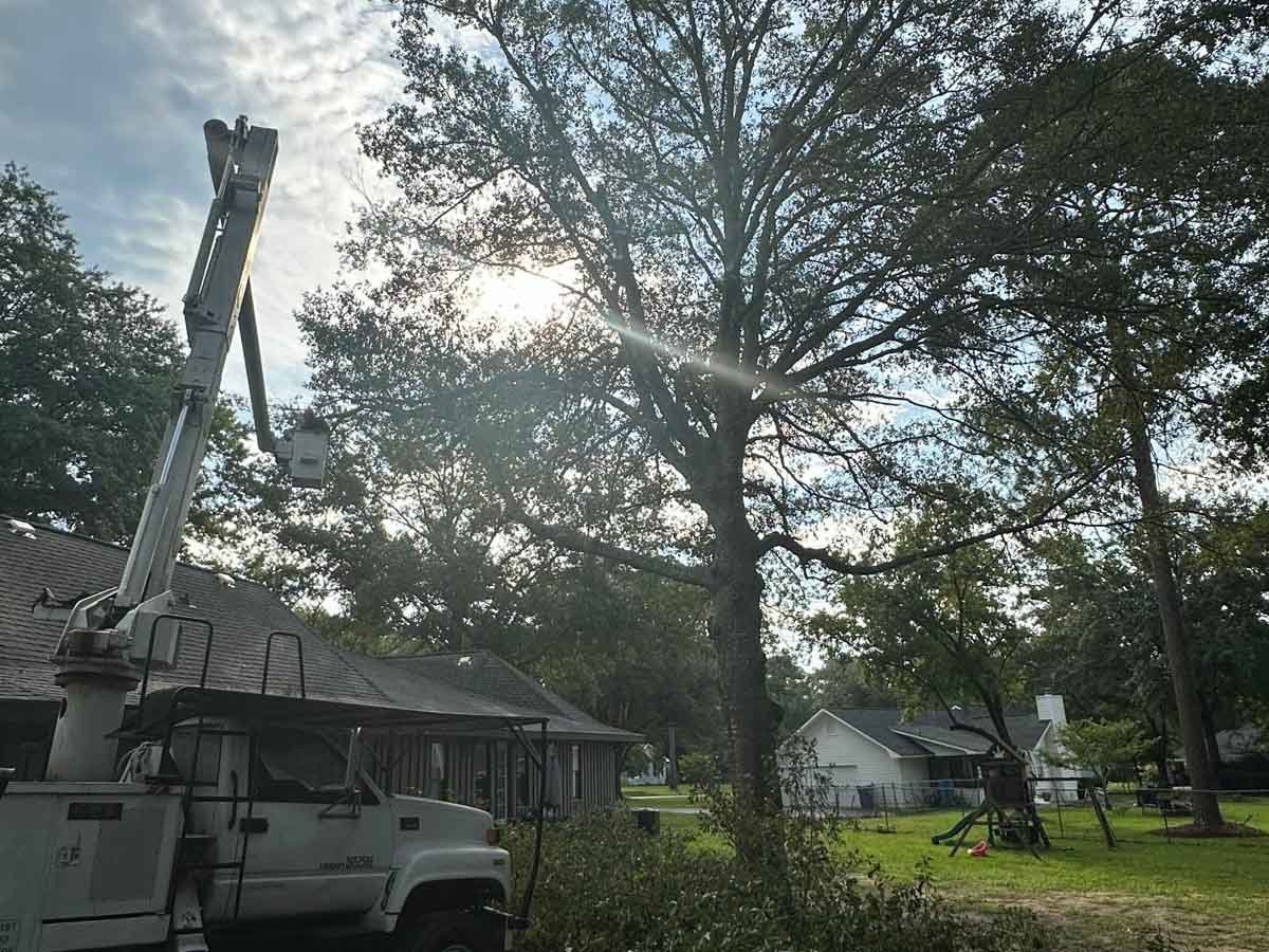 El Costeño Tree Service LLC